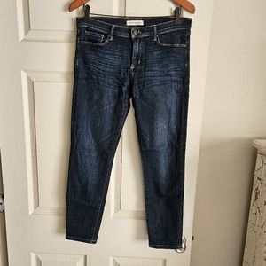 Banana Republic 28 Actual 31.5 Dark Skinny Jeans